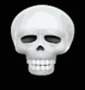 skull skull