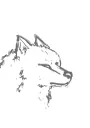 WolfAwoo1
