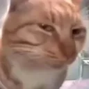 suspicious