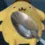 pompom_spoon