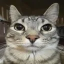 guh