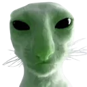 spacat Discord Emoji