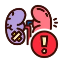 kidney2
