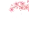 z_misc_cherry_blossom