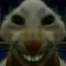 xddx xddx