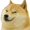hehedoge