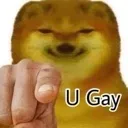 gay