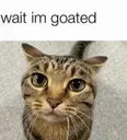 goated