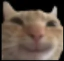 3_