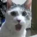 1z_ceshock Discord emoji