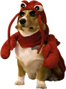 :angy: