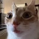 emoji_45