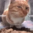 sidefuckingeye