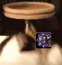 slamcat