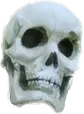 gyatskull gyatskull