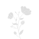 2bouquet Discord Emoji | ۶ৎ　‿　cemetery　 ݁ 　˖