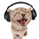 funkycat Discord Emoji