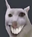 catkek