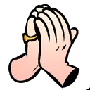 BNFpray