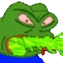 PepeVomit