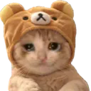 innocent