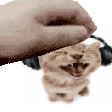 emoji_165