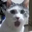 OMG
