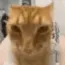 ultrahyperjuh