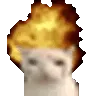 catexplode catexplode