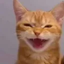 GingerMuehehehe