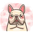 frenchie_please
