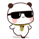 coolbearwalk