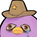 CowboyMoleysDontCry