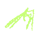 stickbug