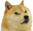 angry_doge