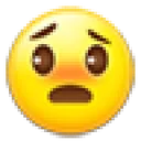 bns_worried