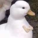 DuckHmm Discord emoji