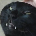 :BoesHappySmile: