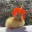 quackers