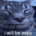 Eepycat Discord Emoji