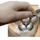 floppet