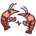 SHRIMPFIGHT