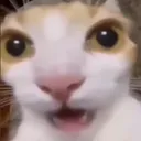cathuh cathuh