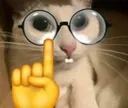 nerdCat nerdCat
