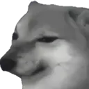 sed
