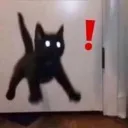 shock