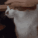 catpatgif Discord Emoji