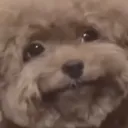 Bruh