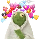 kermitlove