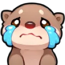 ottercry